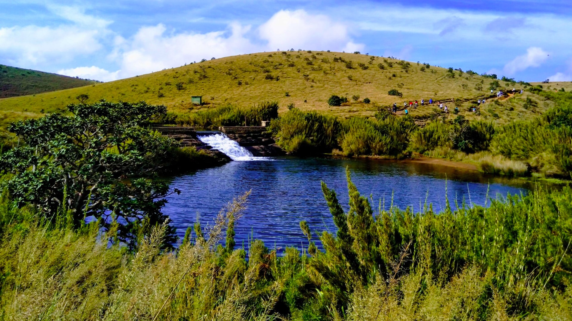 Horton Plains Nature Tour Sri Lanka