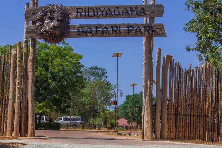Ridiyagama Safari Park Sri Lanka