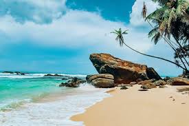 South coast beach transfer