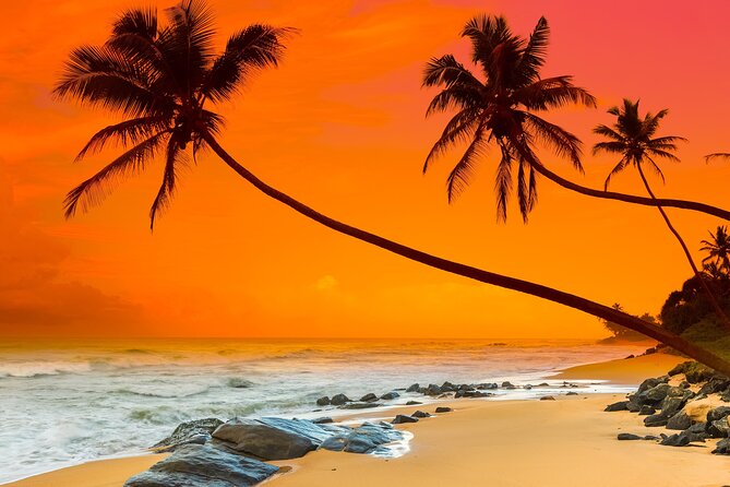 Sri Lanka Beach tour