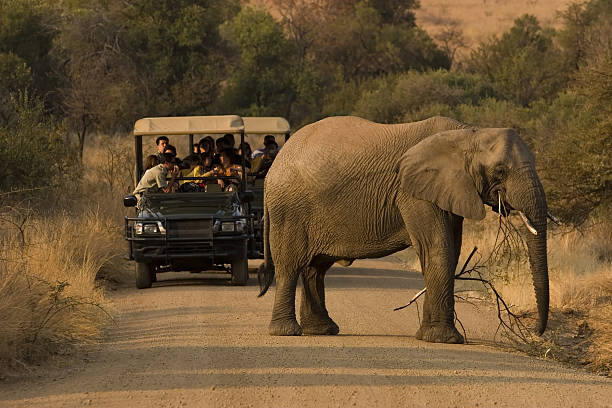Wildlife itinerary
