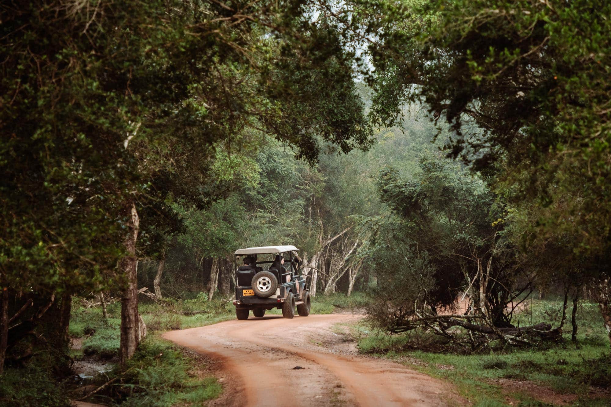 Wilpattu National Park Safari Sri Lanka