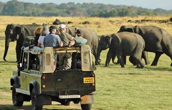 Yala National Park Safari Sri Lanka